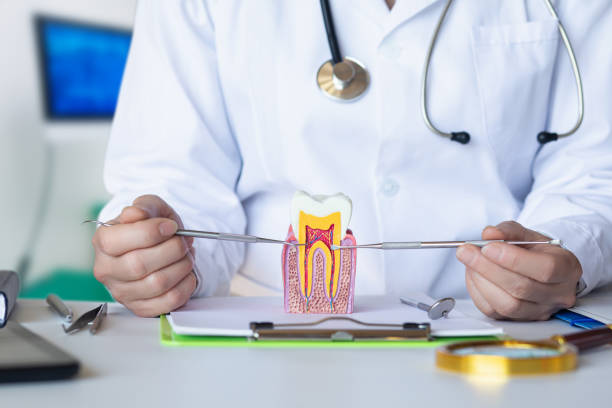 Best Emergency Dental Care for Abscessed Tooth in Woods Cross, UT